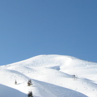 la berte depuis la Suisse