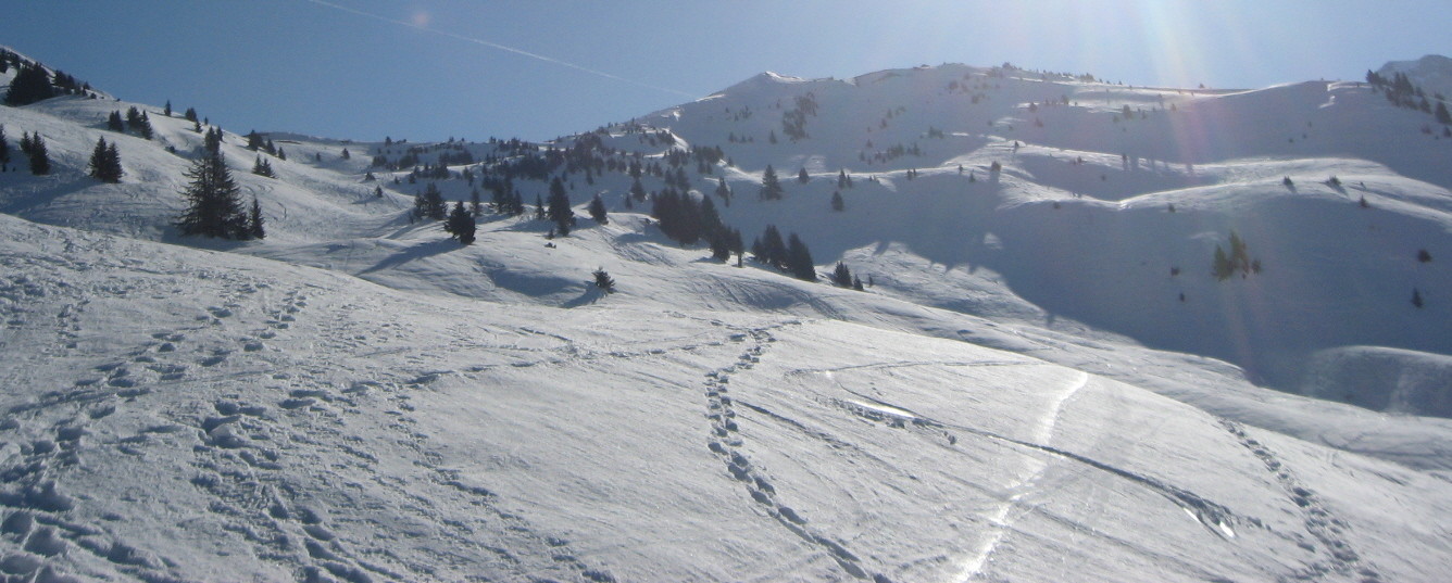 la Berte coté France