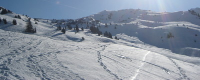 la Berte coté France