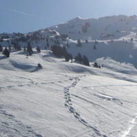 la Berte coté France