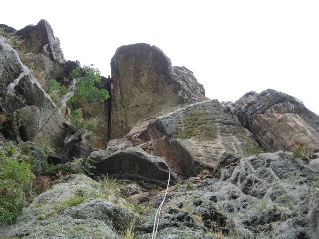 L1 de "la Diagonal"