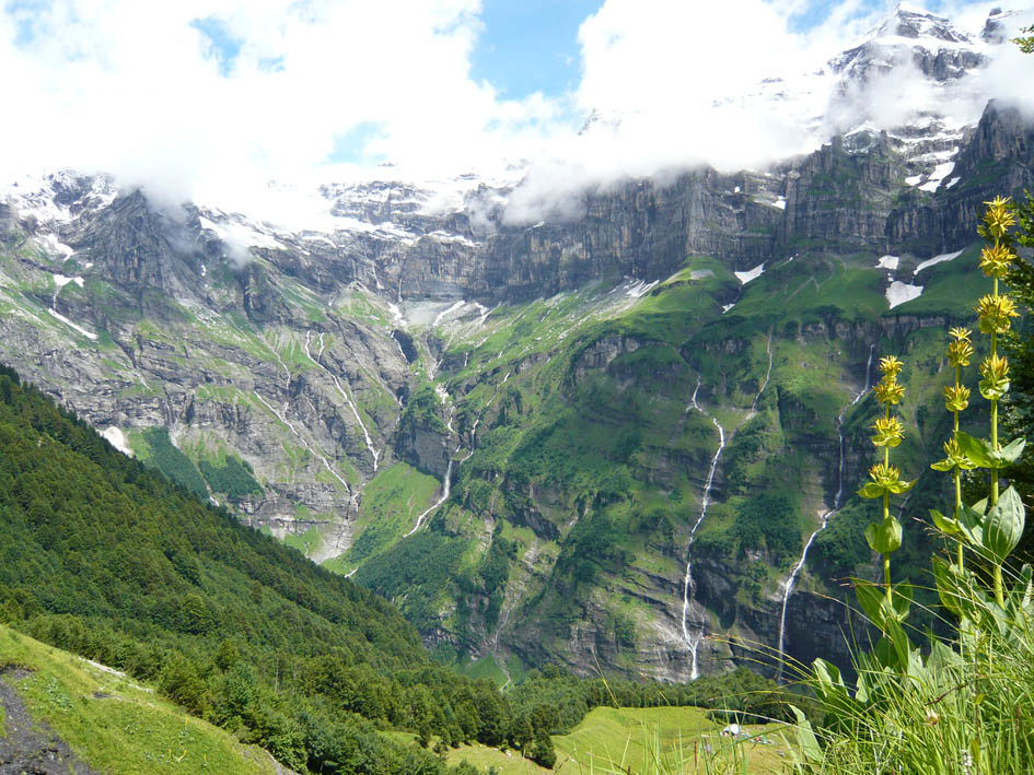 Panorama Sixt