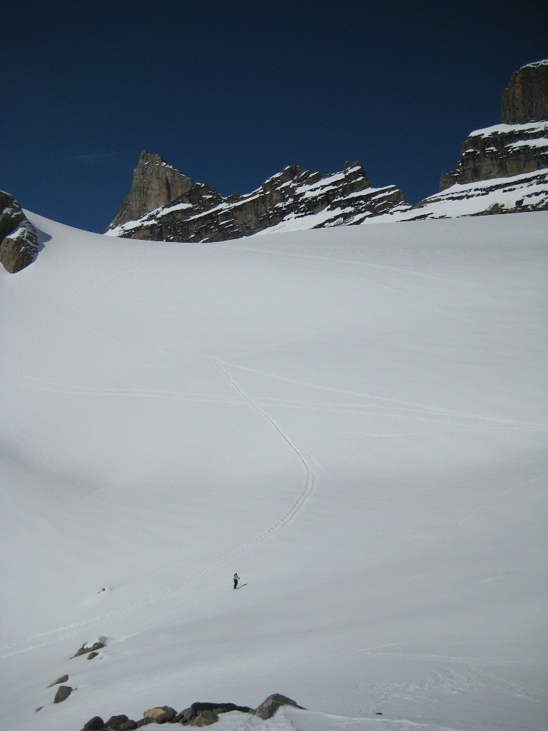 Georgy sur le glacier des Dents du Midi