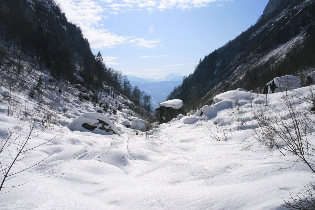 Vallon des Barmes
