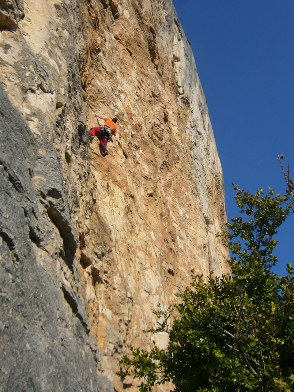 omblèze secteur mandarine