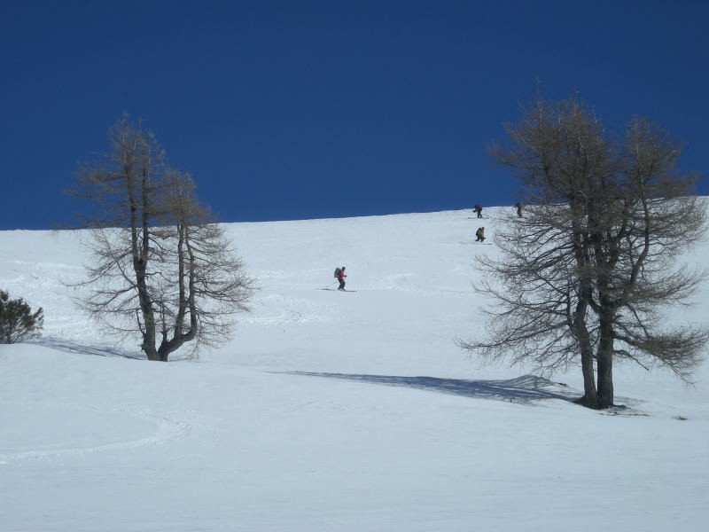 Descente du Mittaghorn, en arrivant dans les mélèzes
