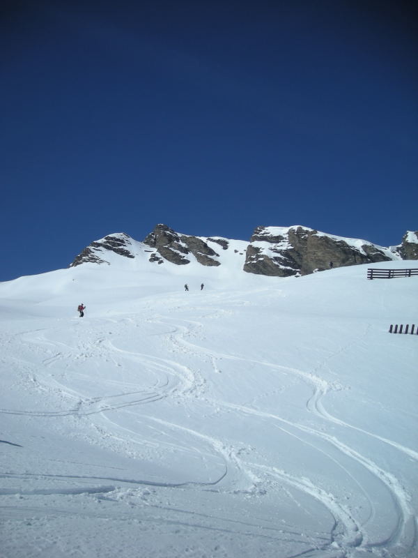 Descente en versant W du Schollenhorn