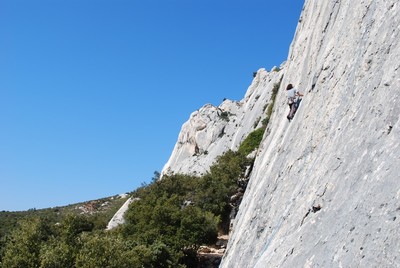 à l'aiguille bertine