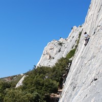 à l'aiguille bertine