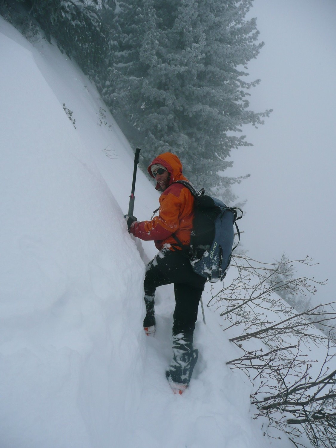 Ski extrème en forêt ?
