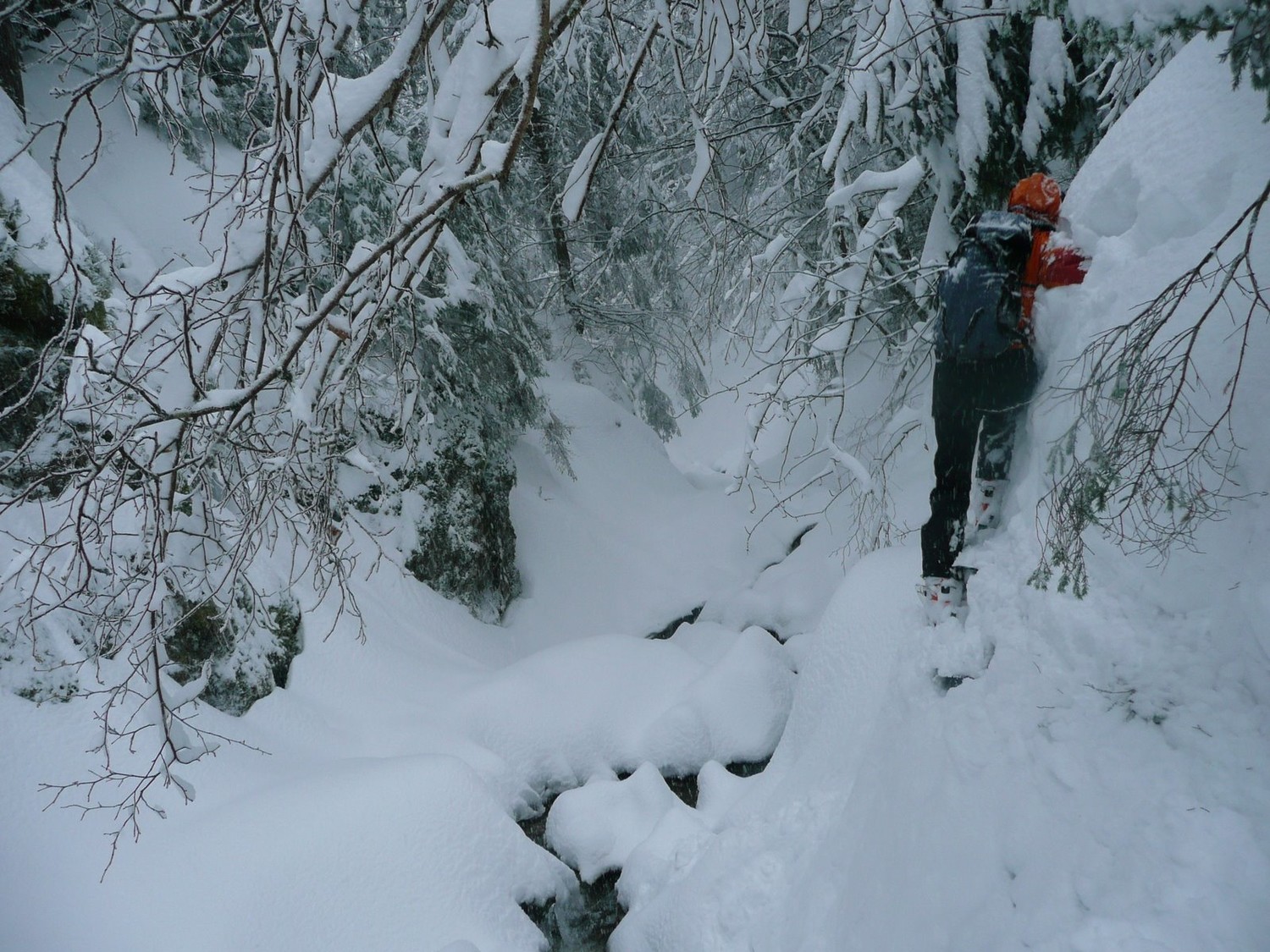 Ski acro à la descente