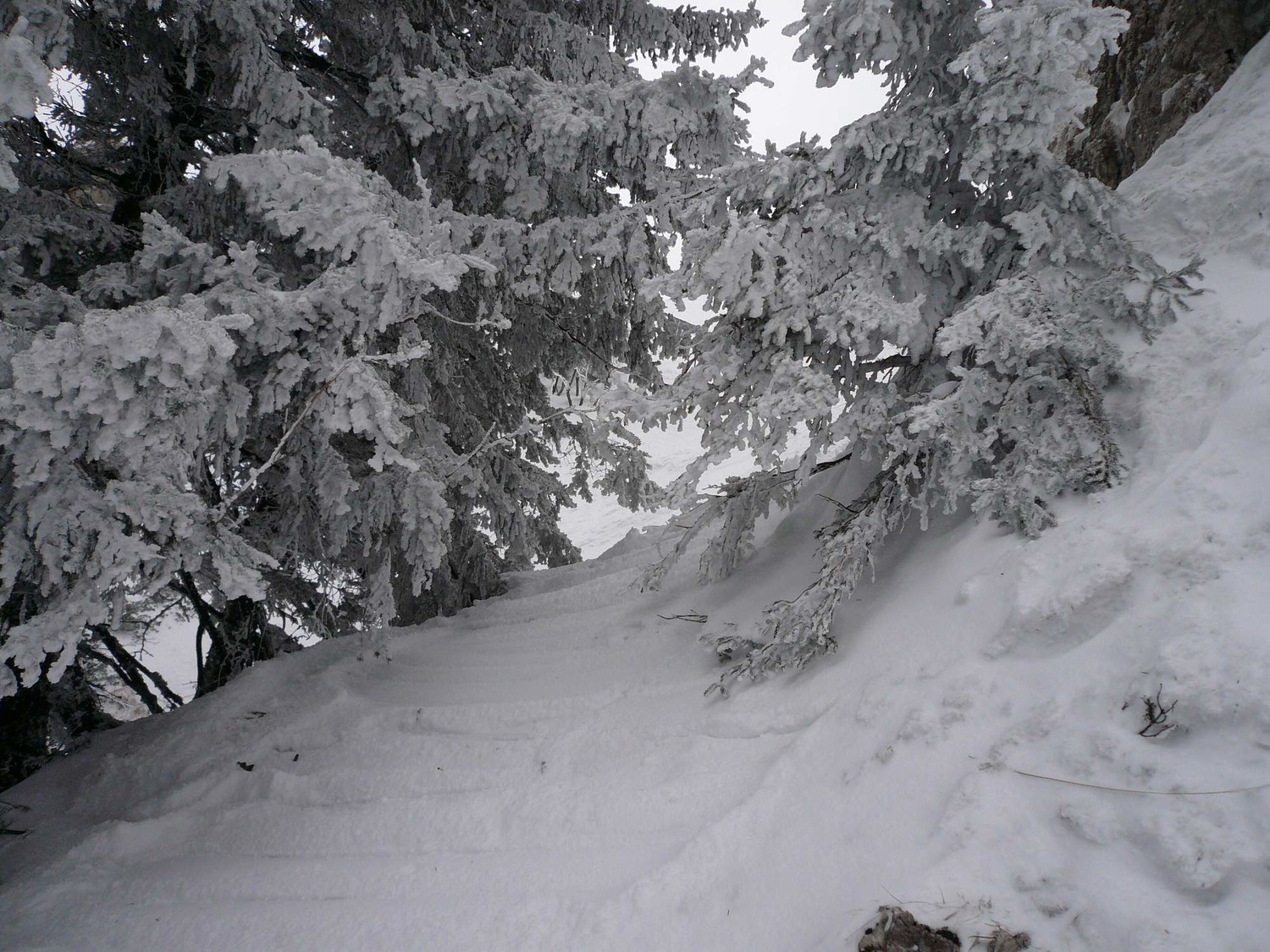 c'est par là l'entrée