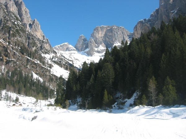 La Val Canali salendo alla Cima Manstorna.