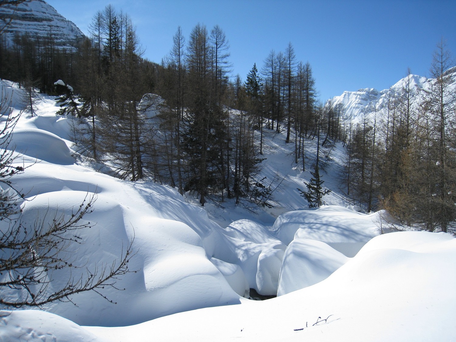Gave de neige