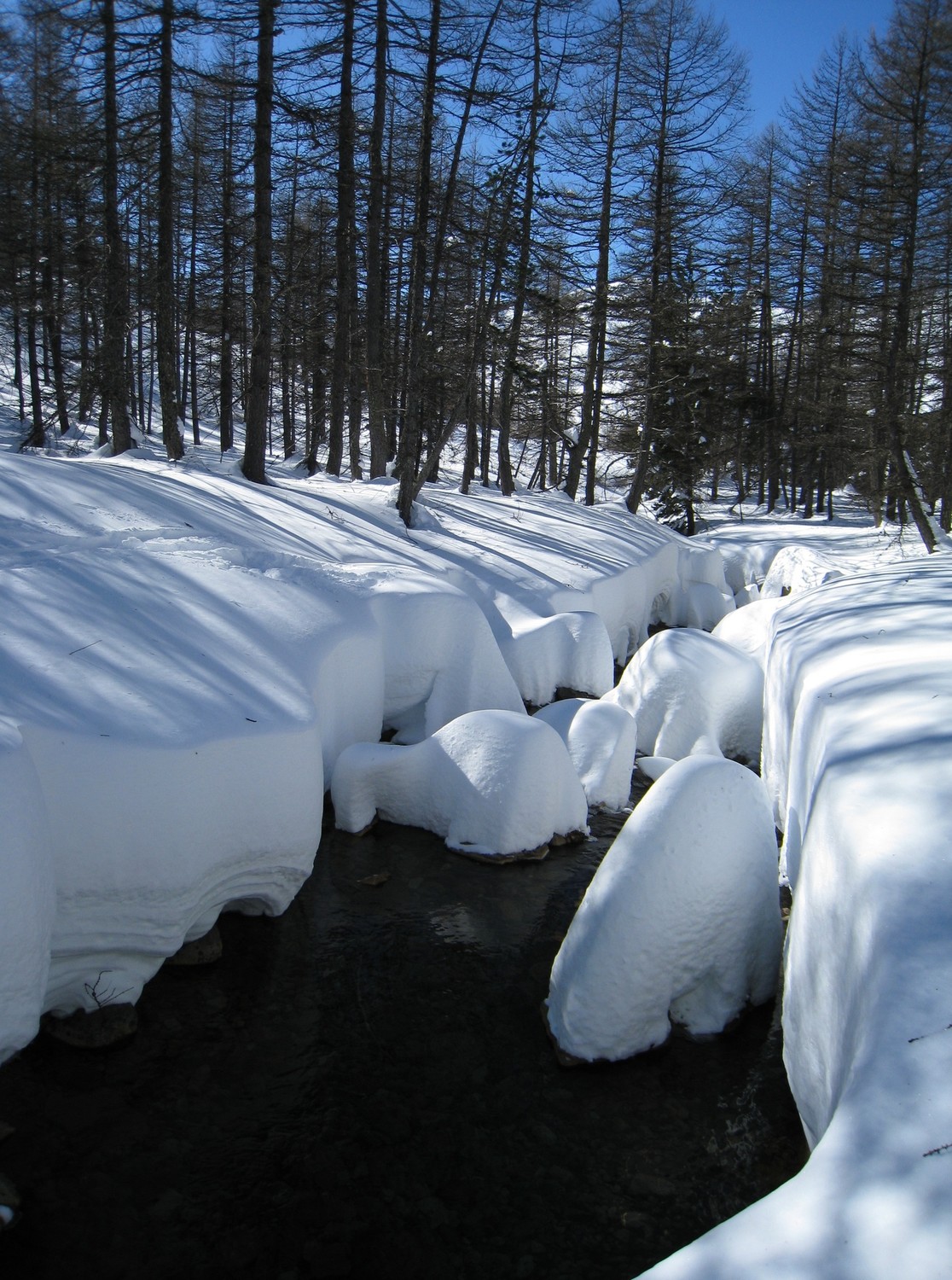 Gave de neige