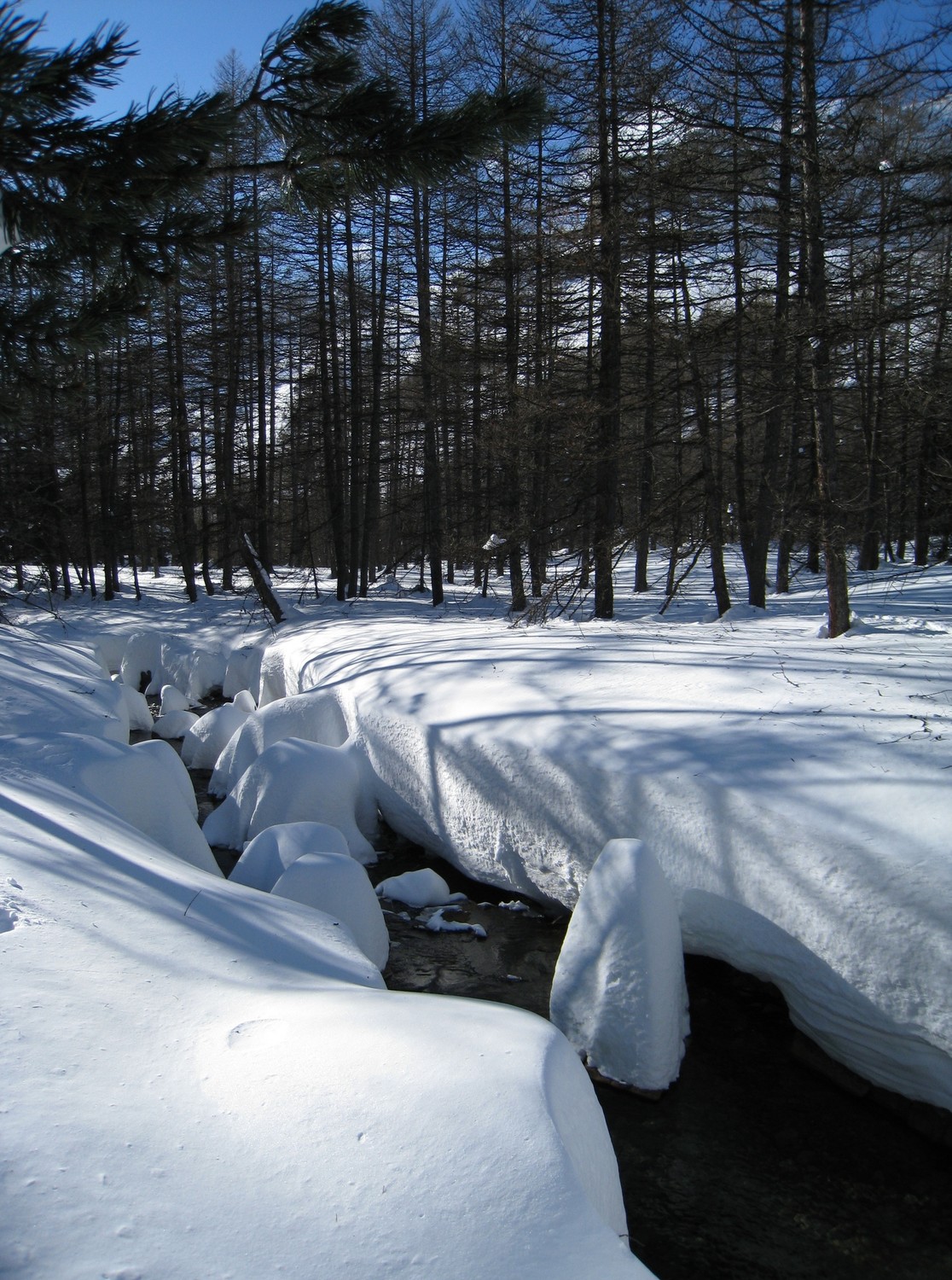 Gave de neige