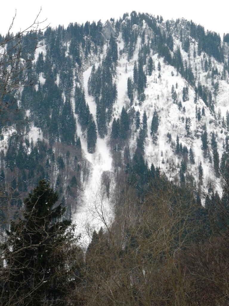 Vue générale d'homo sapiens