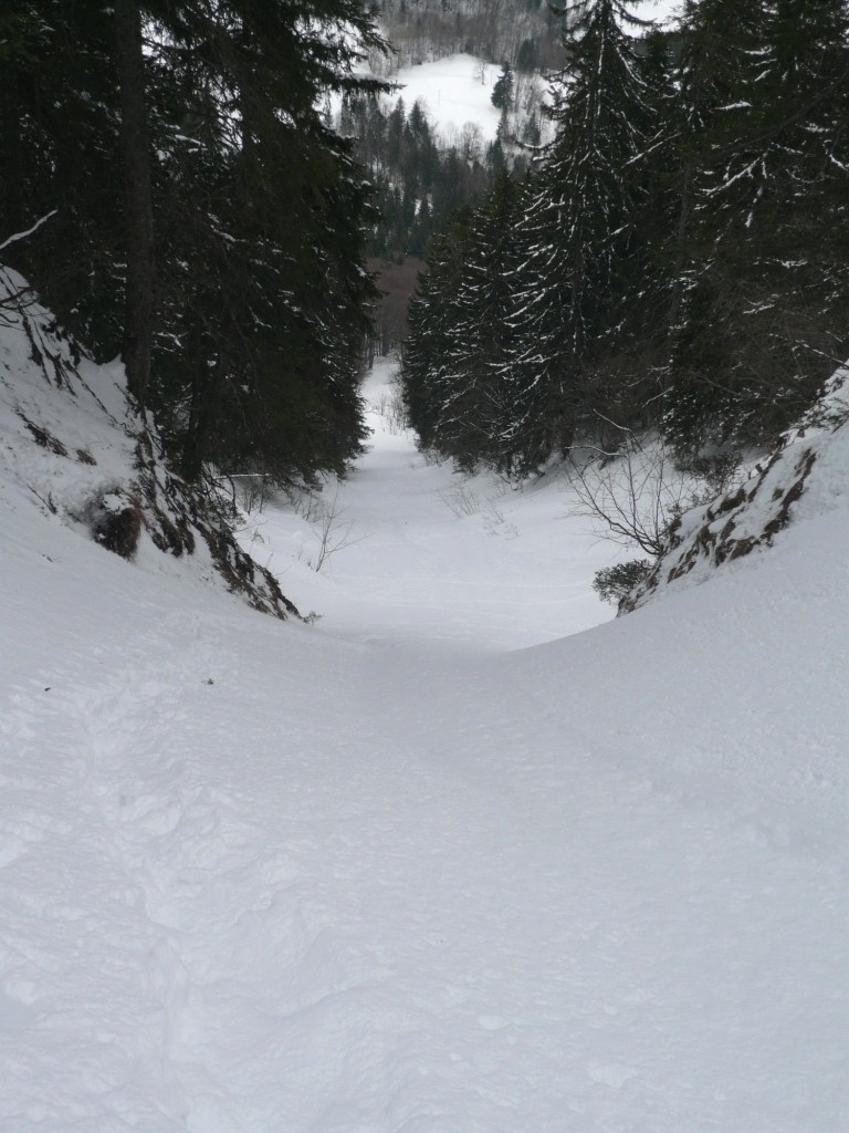 Que du bonheur !