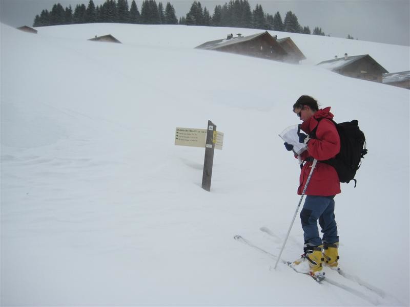 Chalets de l Essert