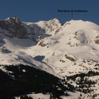 Pied Gros de St-Etienne