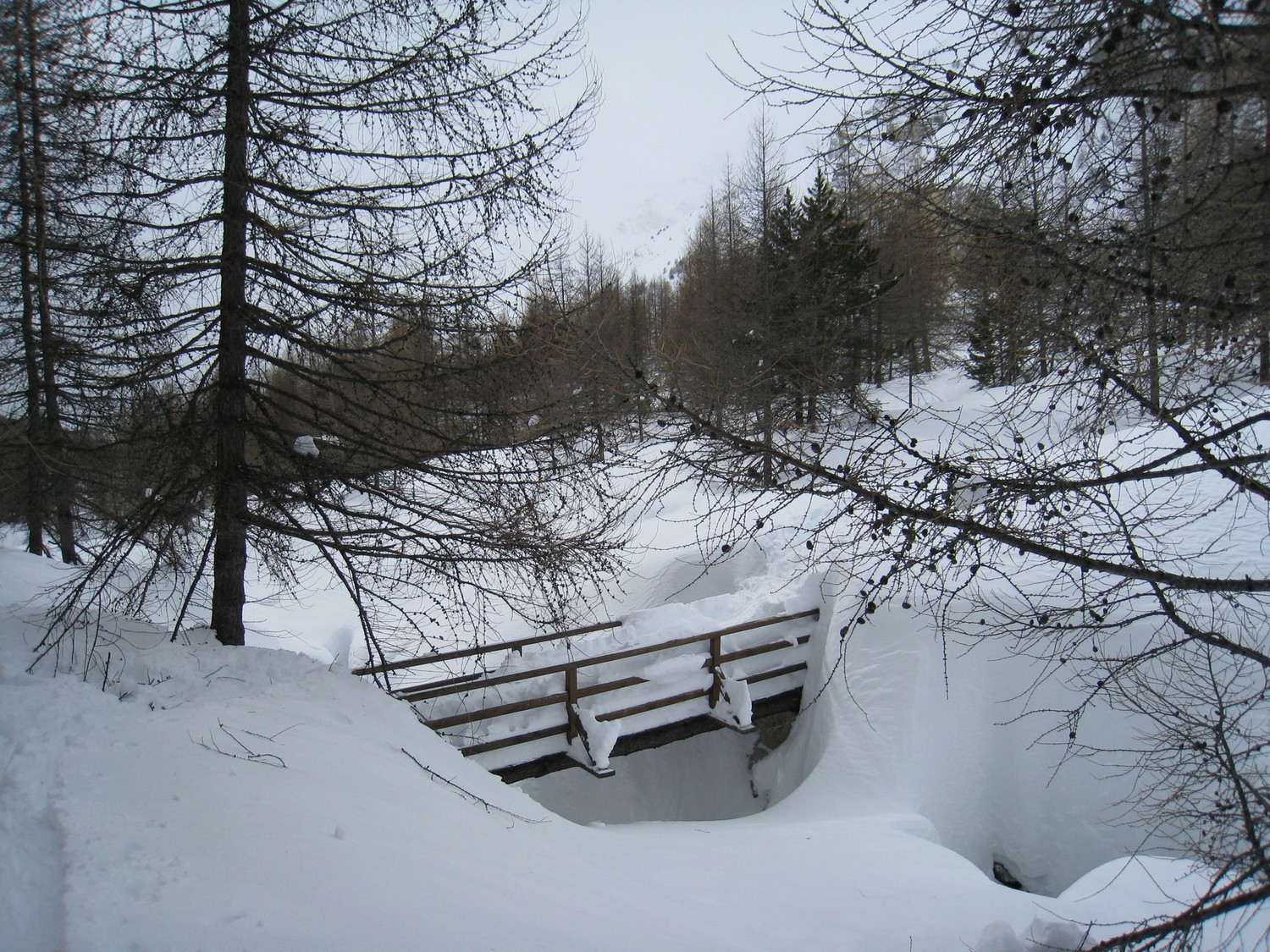 Petit pont