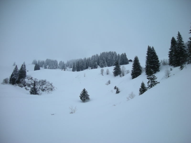 Montée en direction de la Pierre du Moëllé
