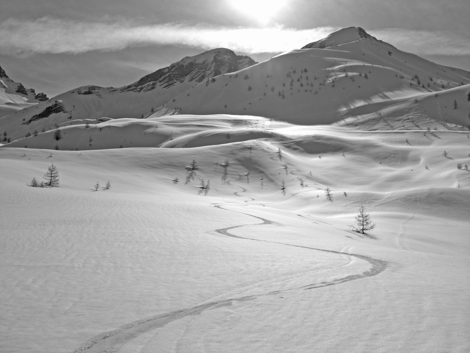 Ca glisse au pays des merveilles ...