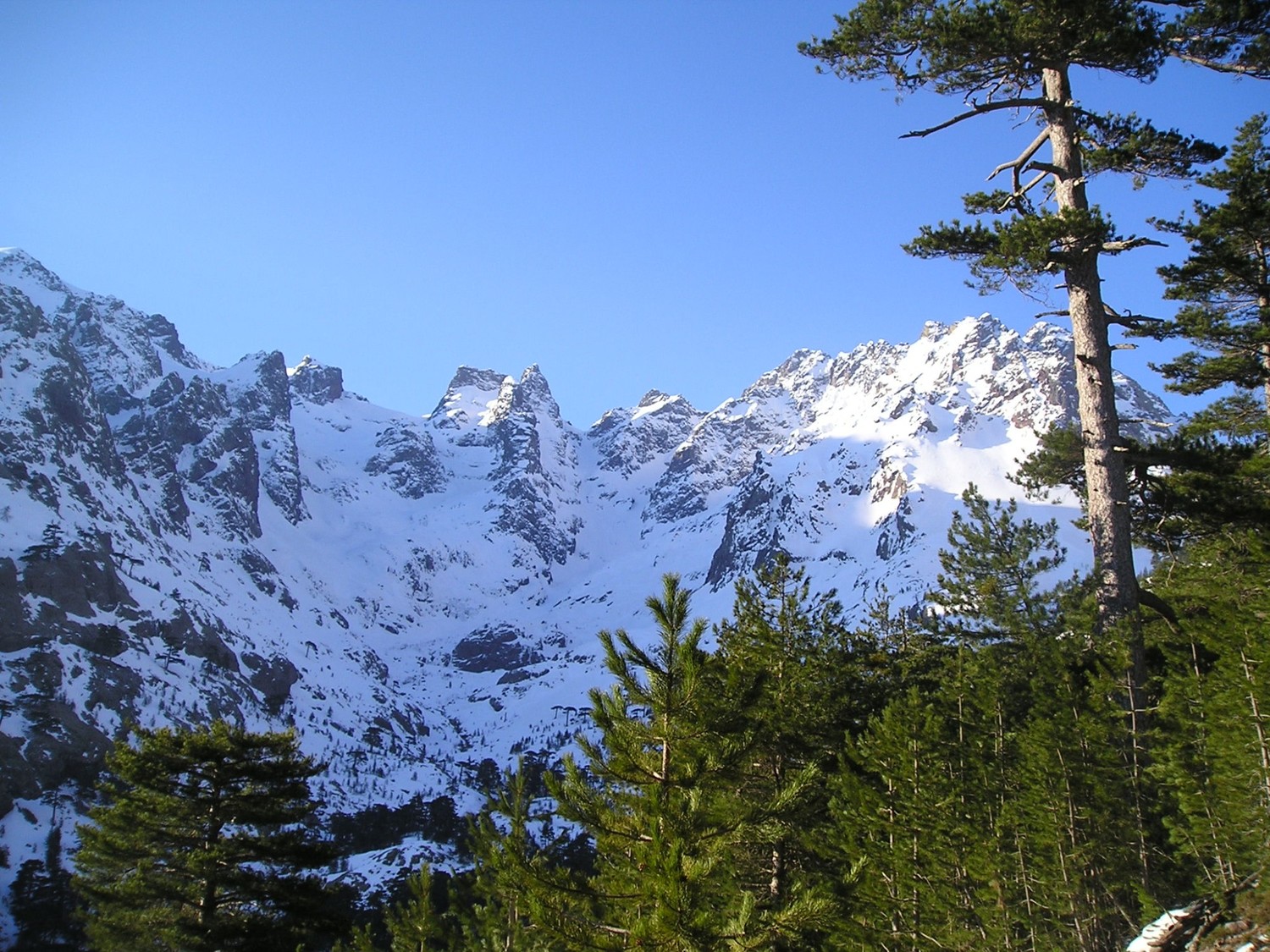 Les faces nord depuis Haut Asco