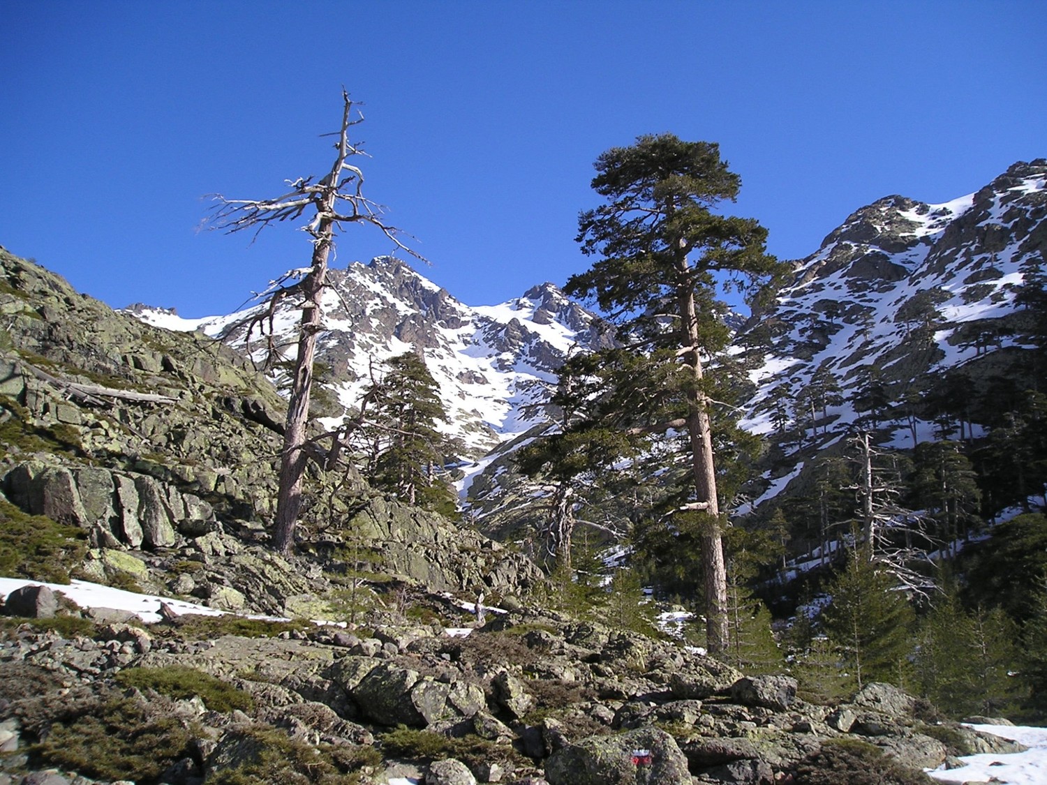 Aux bergeries de Ballone.