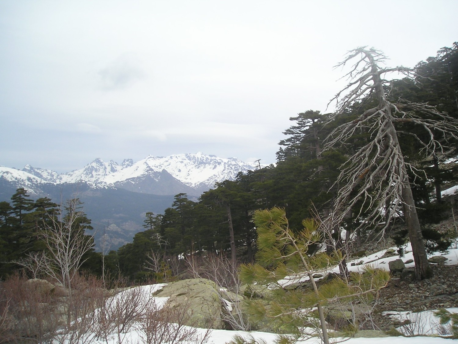 En montant aux bergeries de Colga, le mauvais temps arrive par derrière.