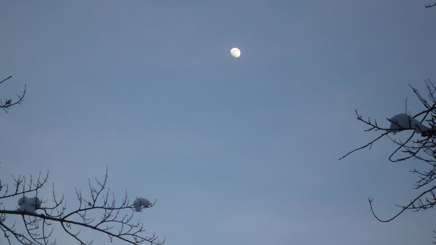 La lune d'un soir