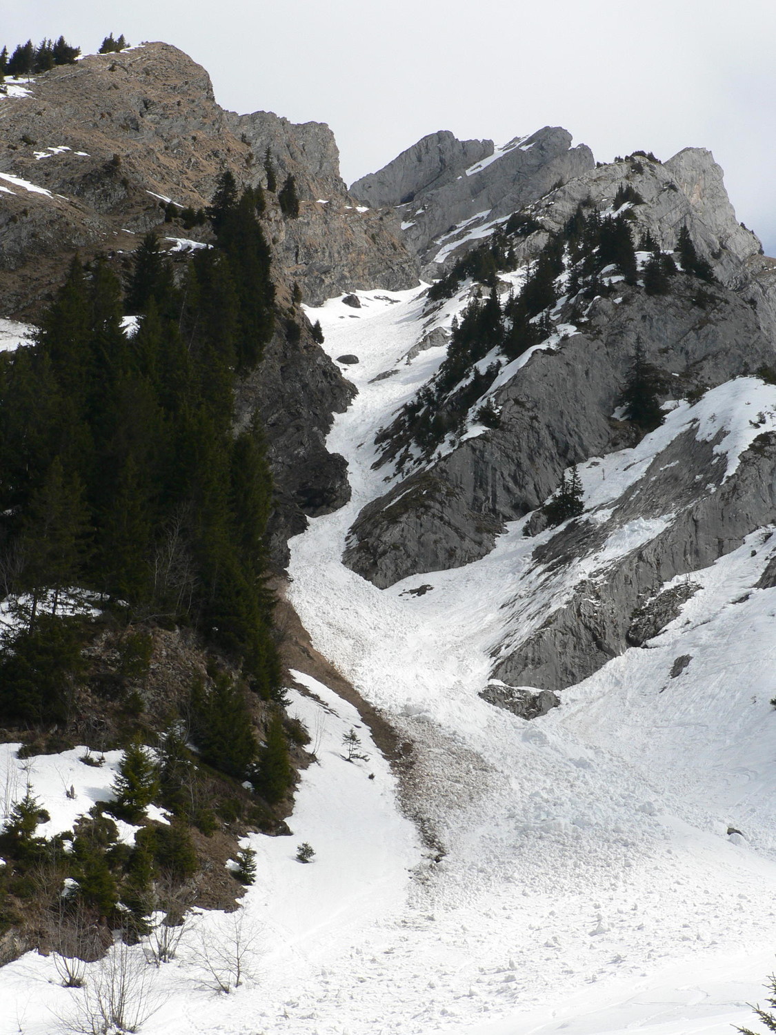 Vue d'ensemble du bas du Chauchefoin.