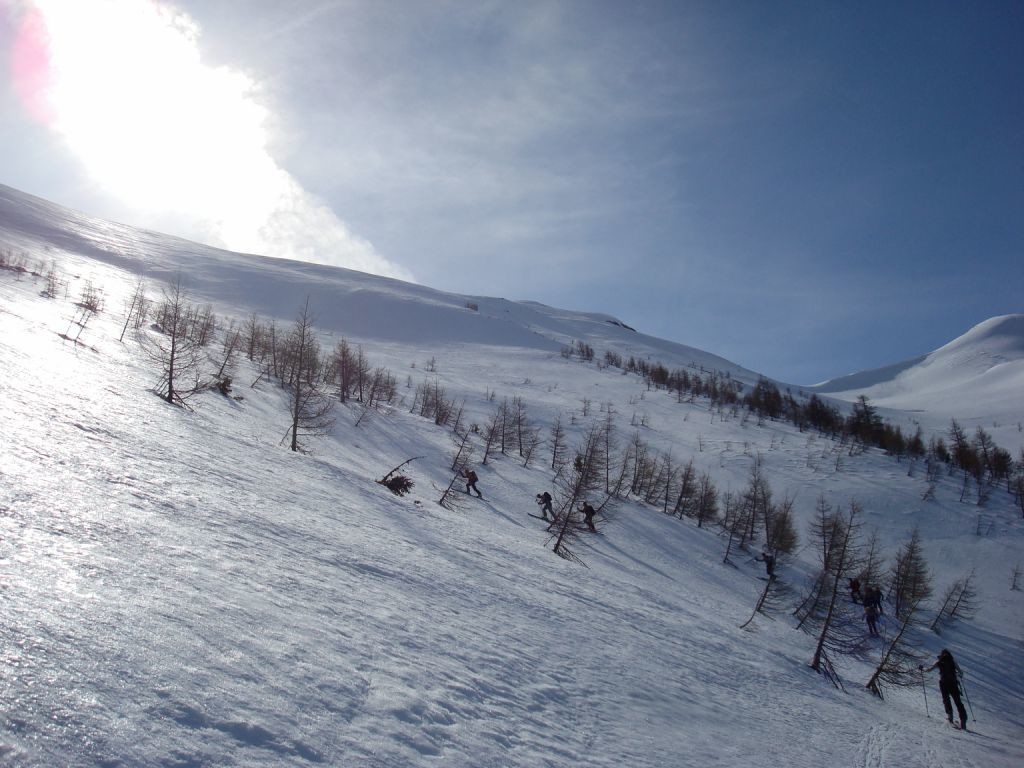 sortie de forêt