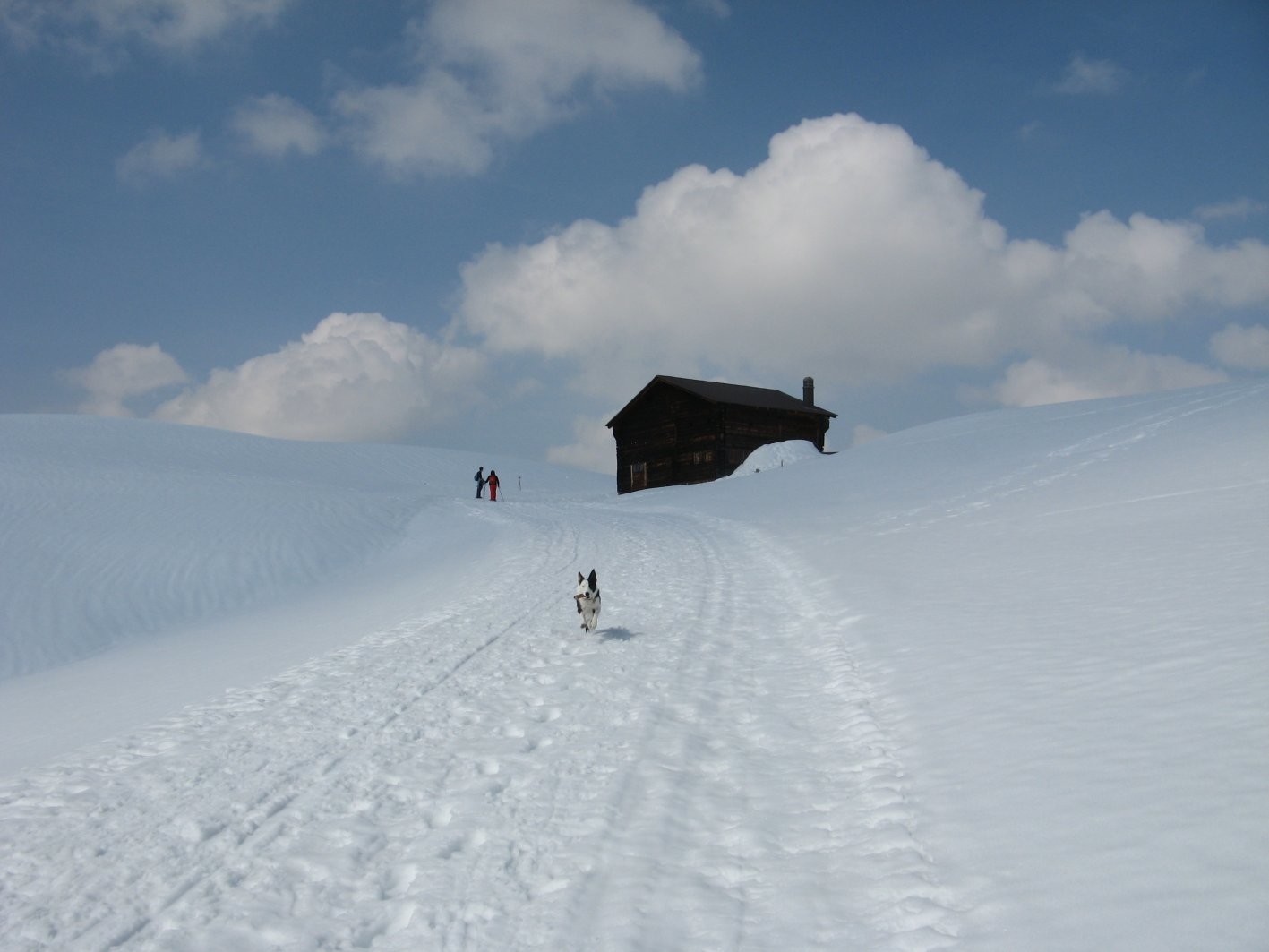 Monts Chevreuils: en arrivant au chalet des Mossettes