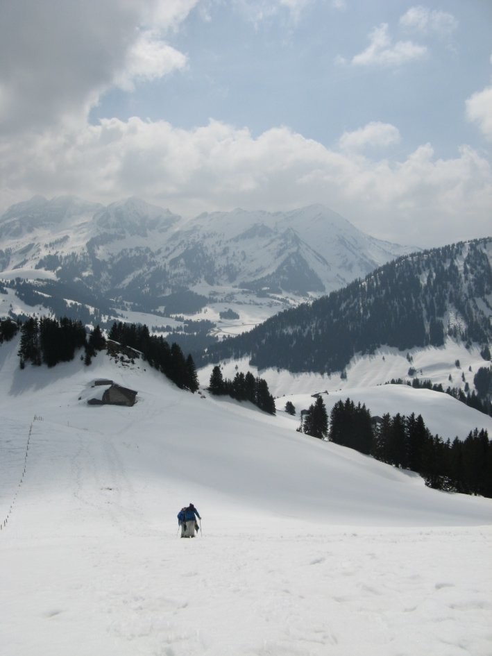 Monts Chevreuils: la montée finale, courte mais raide