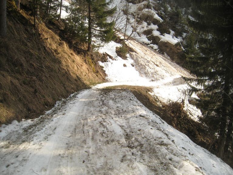 La descente sur Chamonix