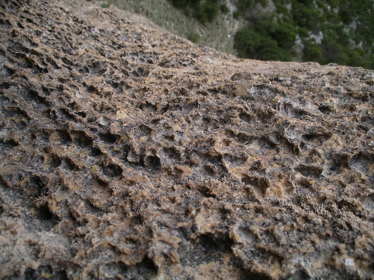 Le rocher de L3 (6b)