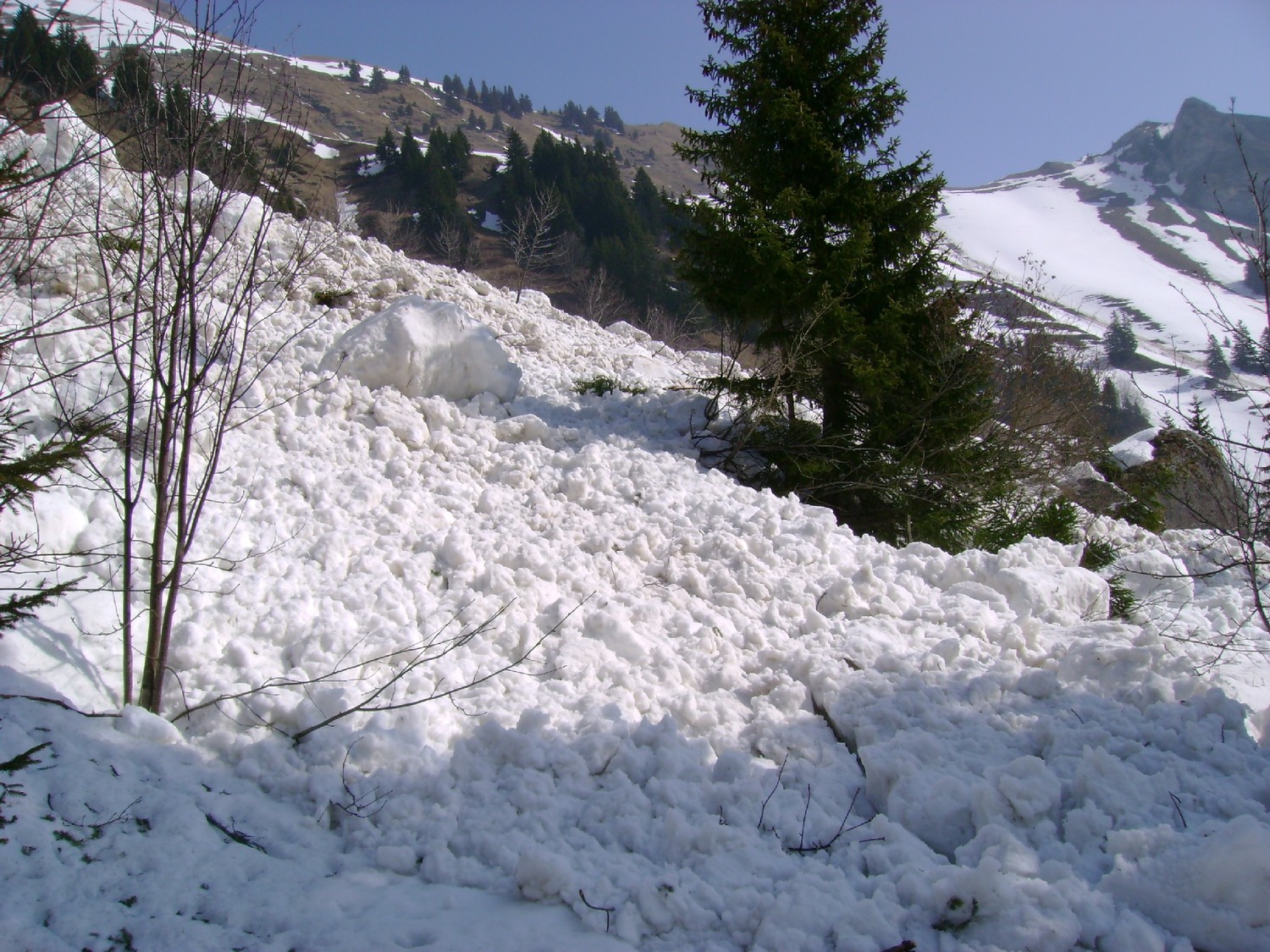 Grande Jumelle: l'avalanche descendue vers 10h30 sur le chemin qui mène à la Montagne de l'Au