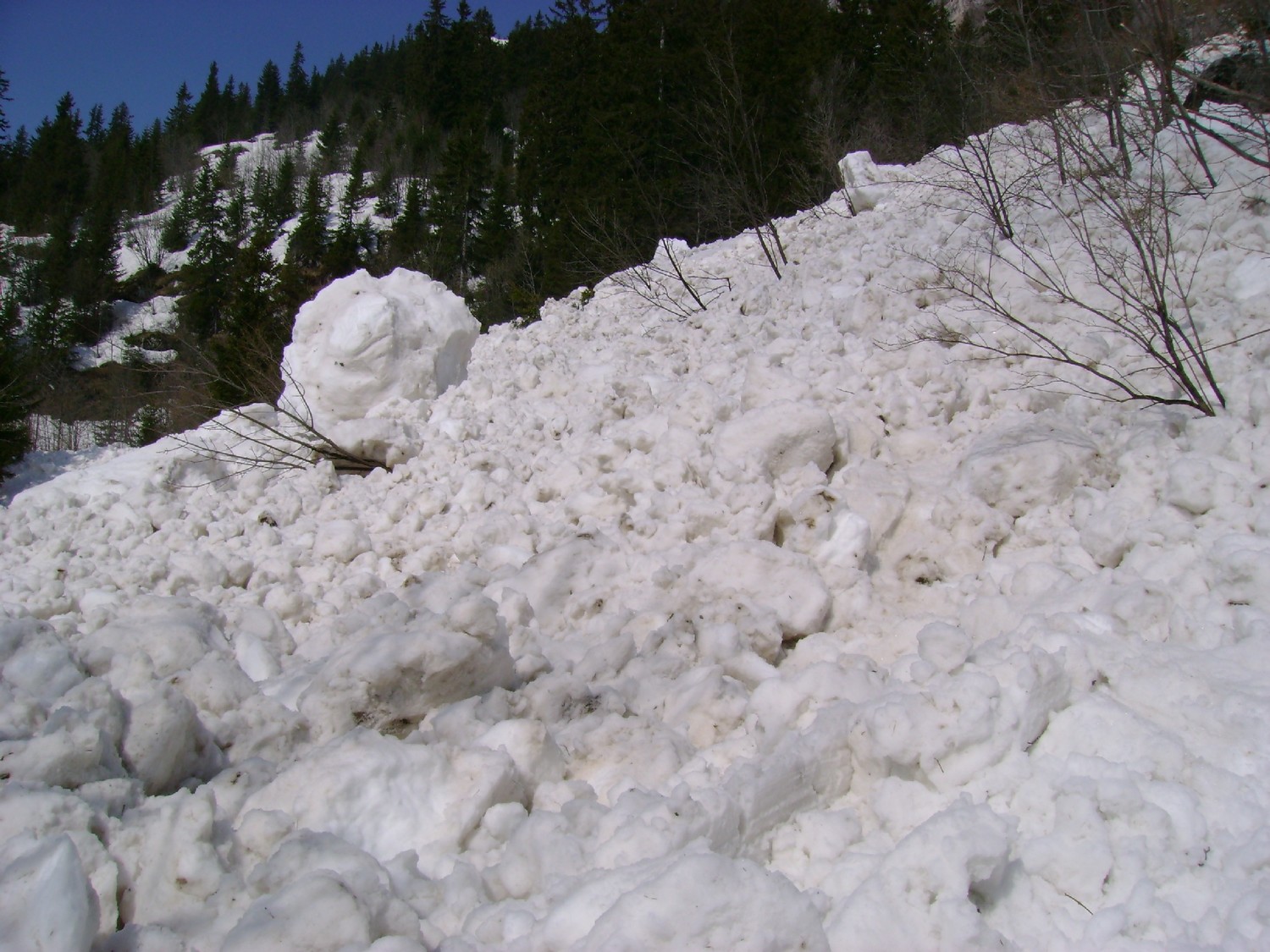 Grande Jumelle: l'avalanche descendue vers 10h30 sur le chemin qui mène à la Montagne de l'Au