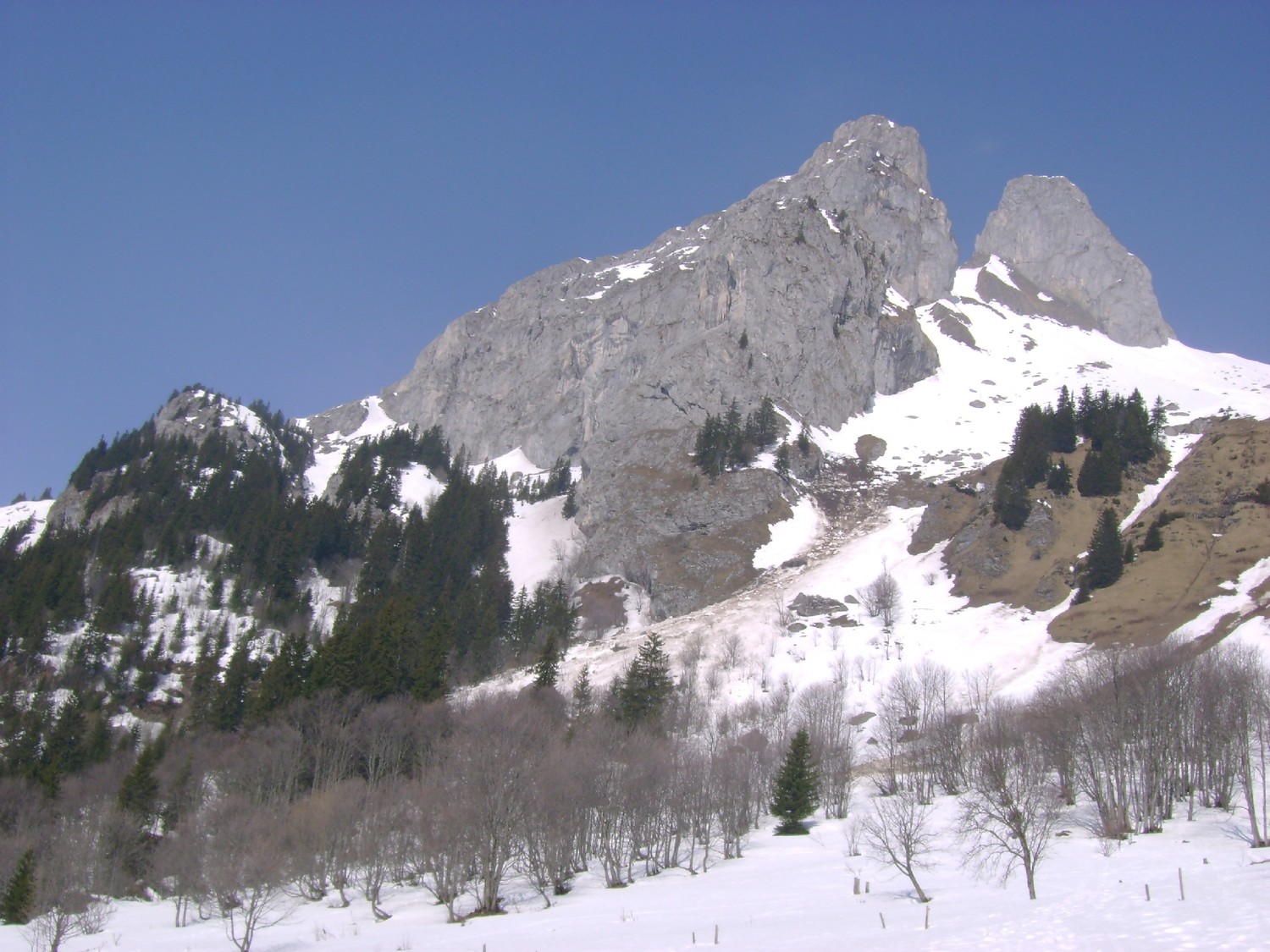 Grande Jumelle: point de départ à la base de la Grande Jumelle de l'avalanche descendue vers 10h30 sur le chemin qui mène à la Montagne de l'Au
