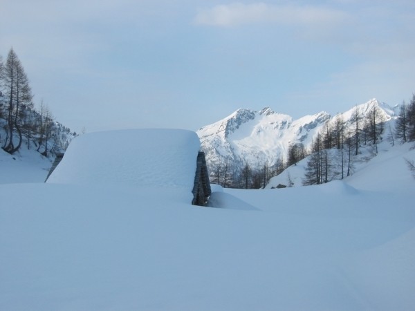 Salendo al P. Cana. Baita alpe Mognola