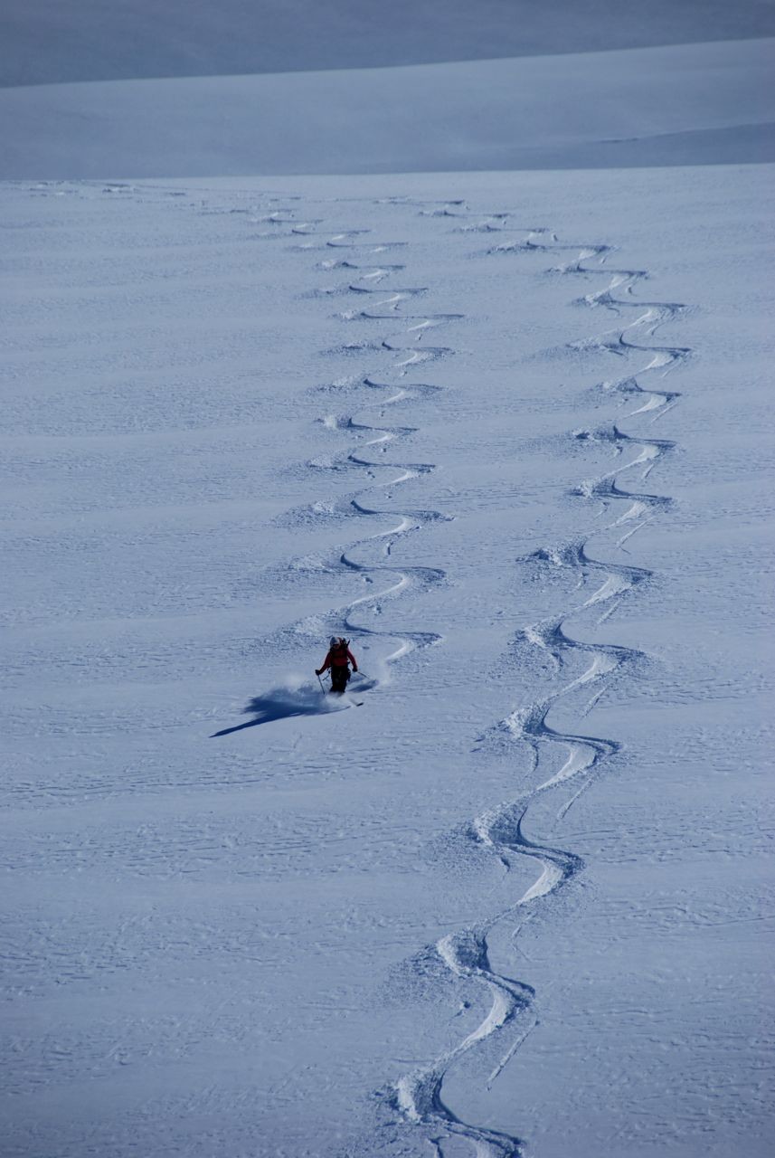 taking advantage of the sunshine and powder on the upper Turtmann Glacier below the Tete de Milon