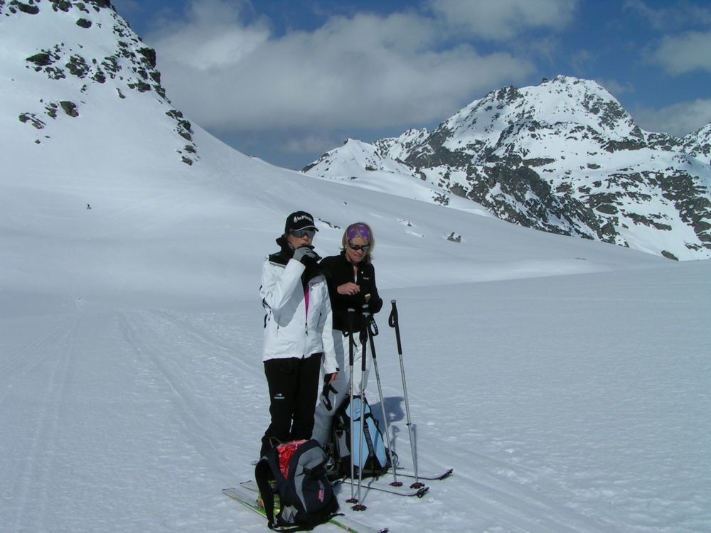 Glacier du Grand Désert, au fond le Mont-Fort
