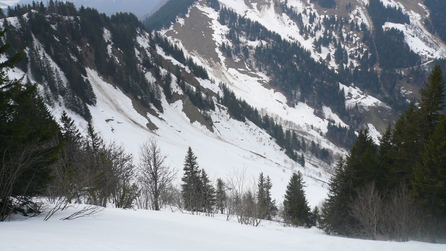 La face vue du haut