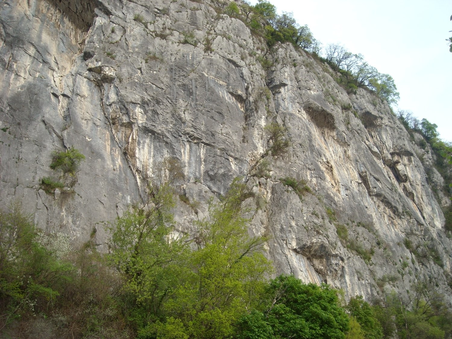 Brison, vue générale 1