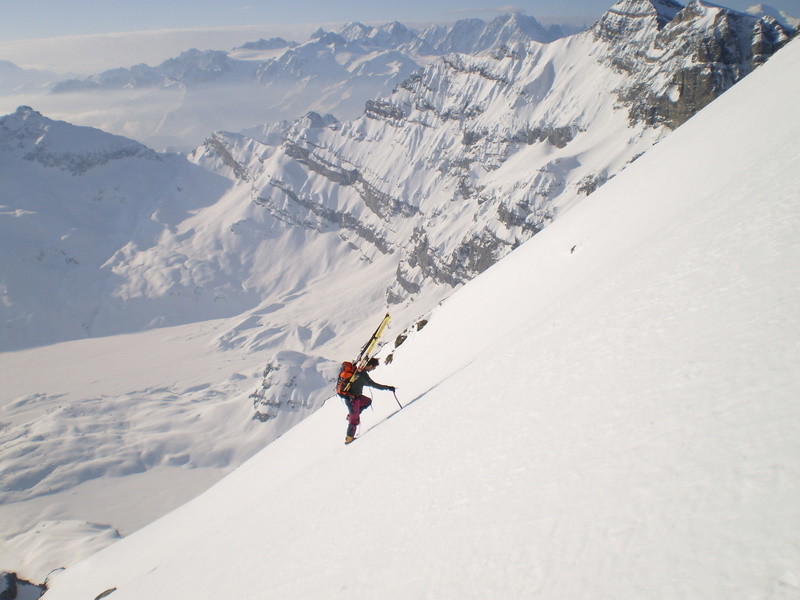 sous le col des paresseux !