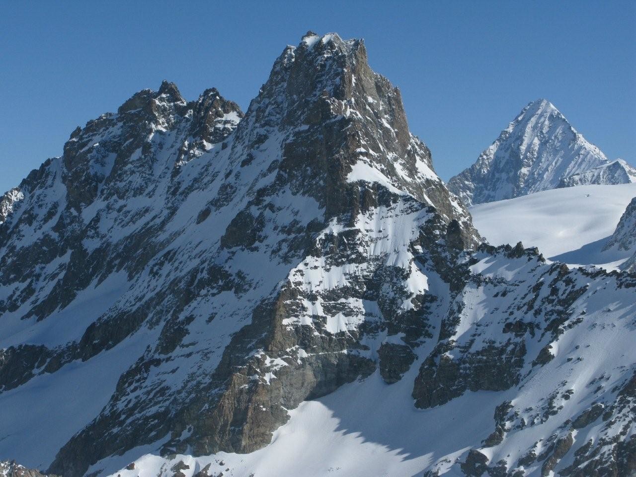 Bouquetins et Dent Blanche