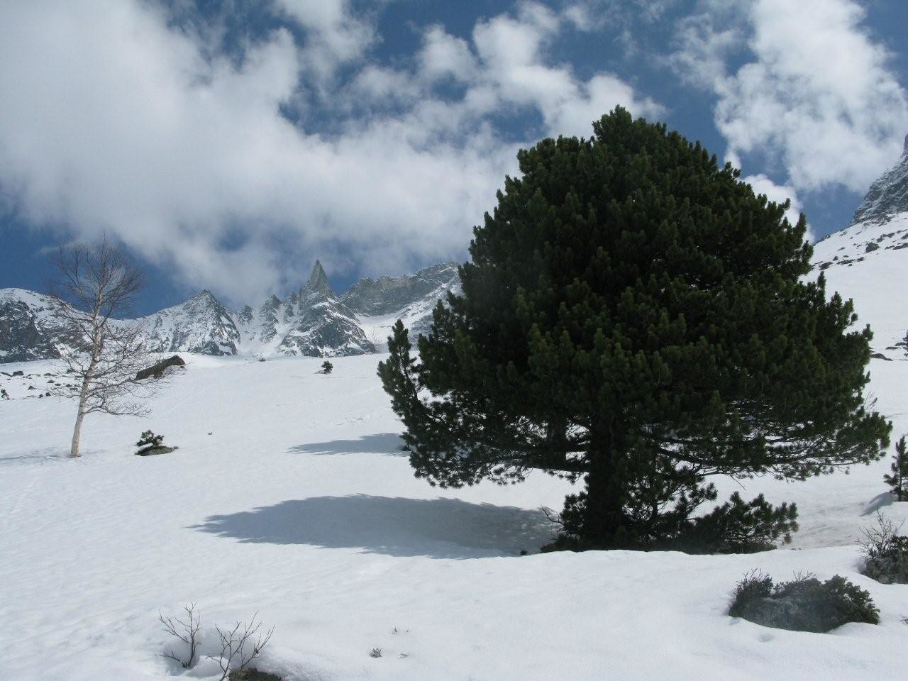 Montée à la cabane de la Tsa