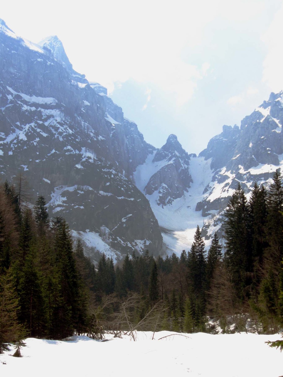 il doppio canale della forcella della Lavina visto dai laghi di Fusine