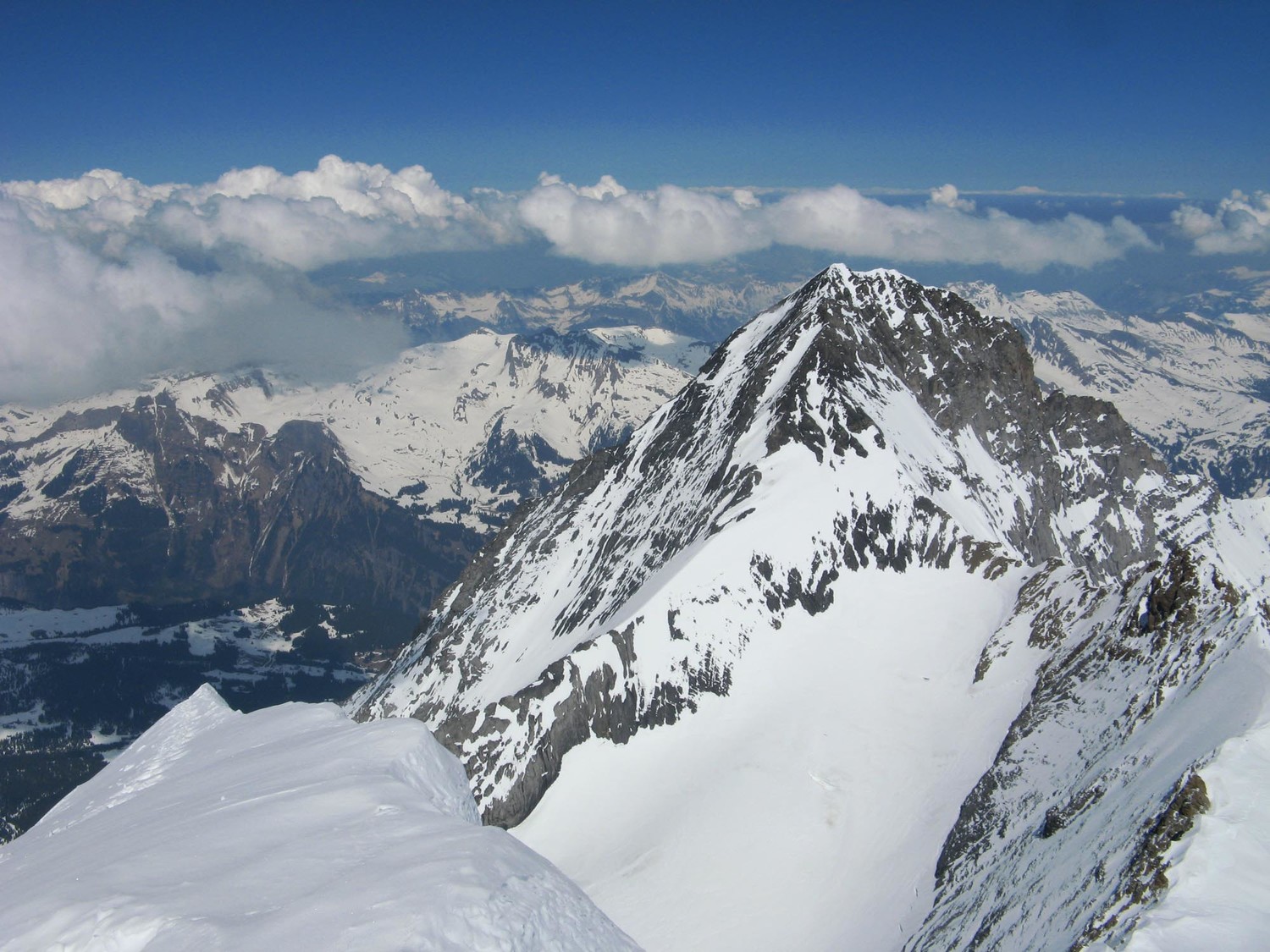 Face W de l'Eiger vue du Mönch.